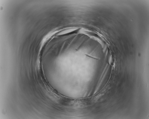 X0000087400294200705042042