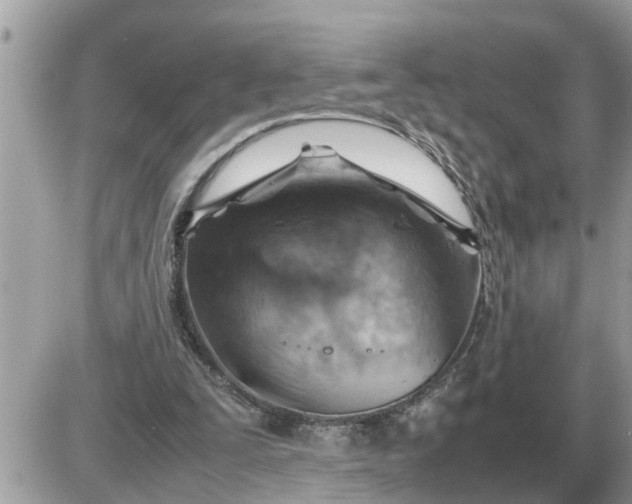 X0000087400295200705042042