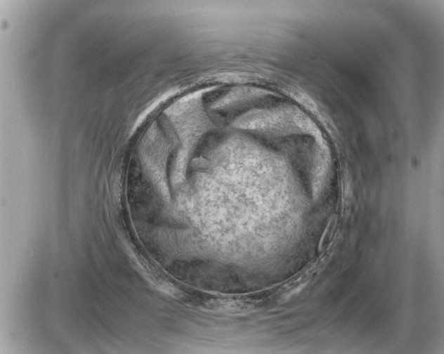 X0000087400297200705042042