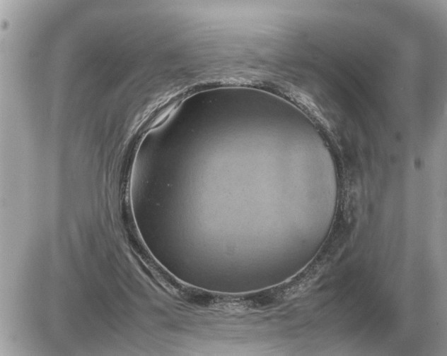 X0000087400299200705042042