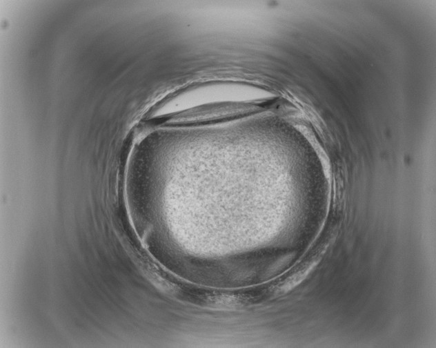 X0000087400301200705042042