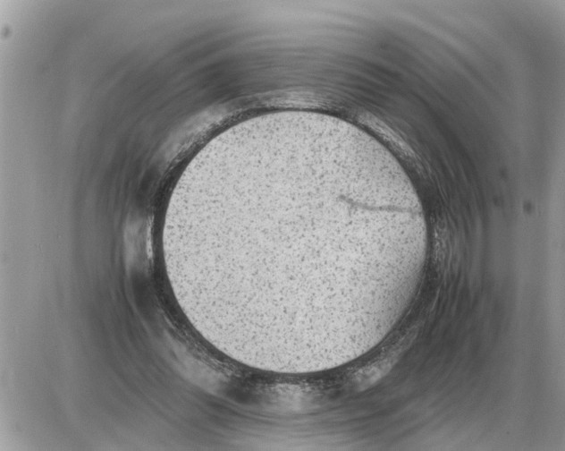 X0000087400302200705042042