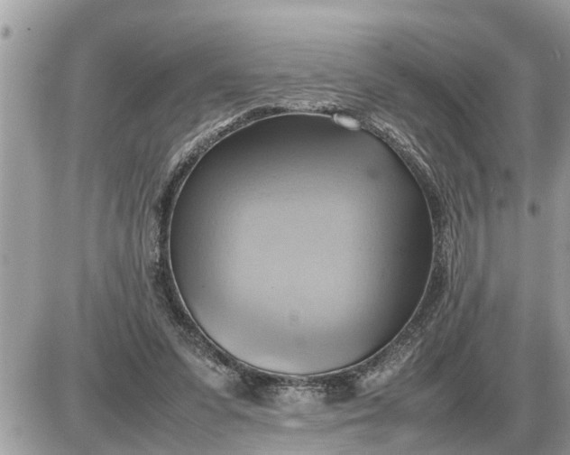 X0000087400303200705042042