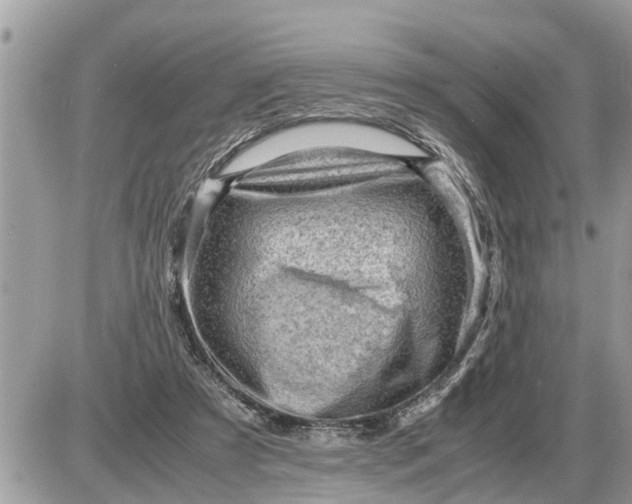 X0000087400305200705042042