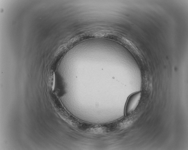 X0000087400307200705042042