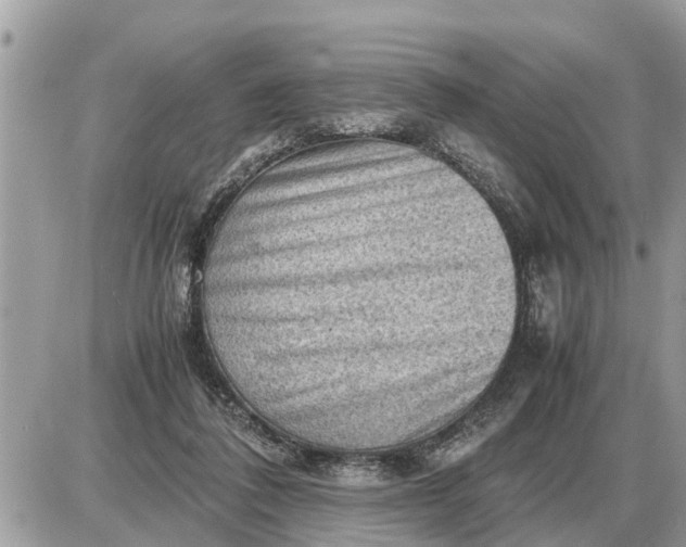 X0000087400308200705042042