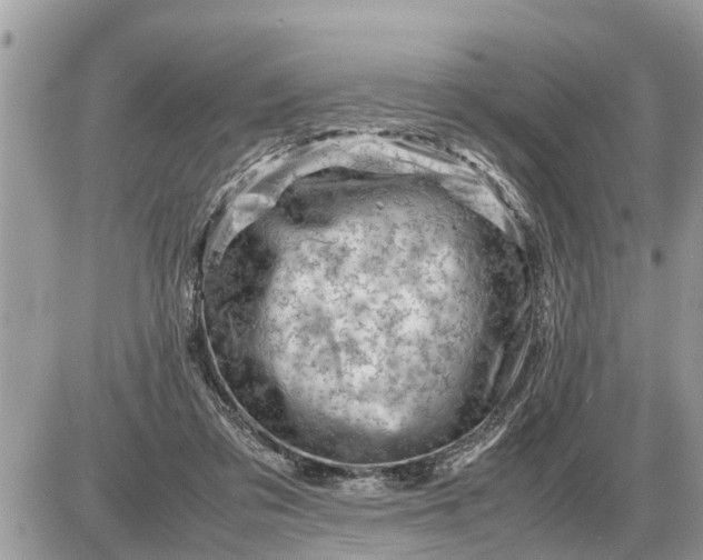 X0000087400309200705042042