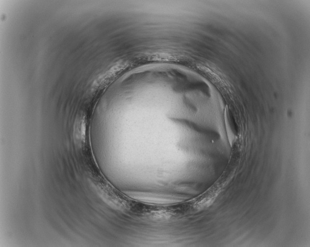 X0000087400310200705042042