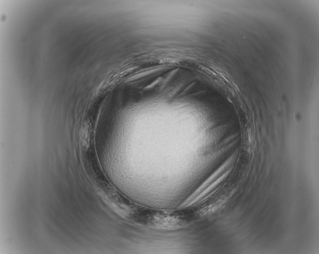 X0000087400311200705042042