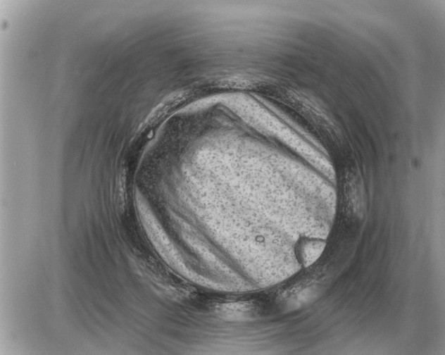 X0000087400312200705042042