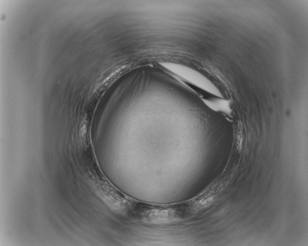 X0000087400314200705042042