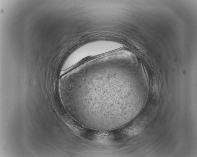 X0000087400315200705042042