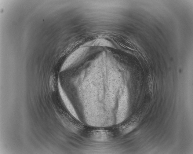 X0000087400316200705042042