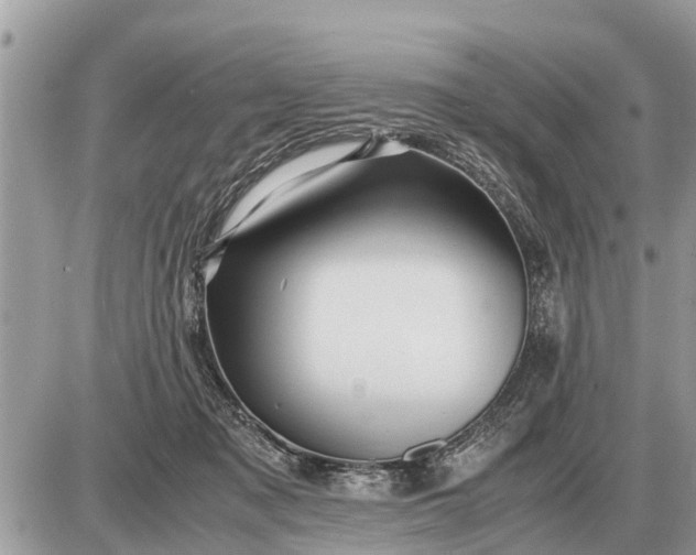 X0000087400317200705042042