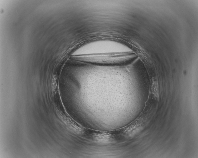 X0000087400318200705042042