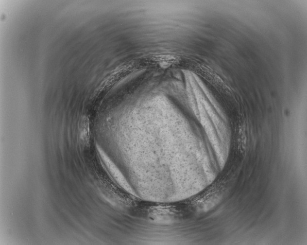 X0000087400320200705042042