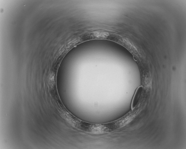 X0000087400321200705042042