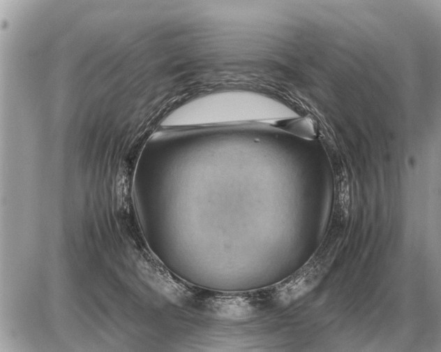 X0000087400322200705042042