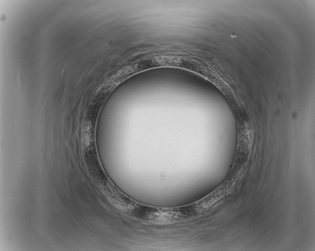 X0000087400323200705042042