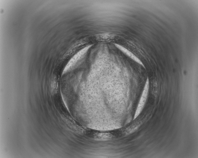 X0000087400324200705042042