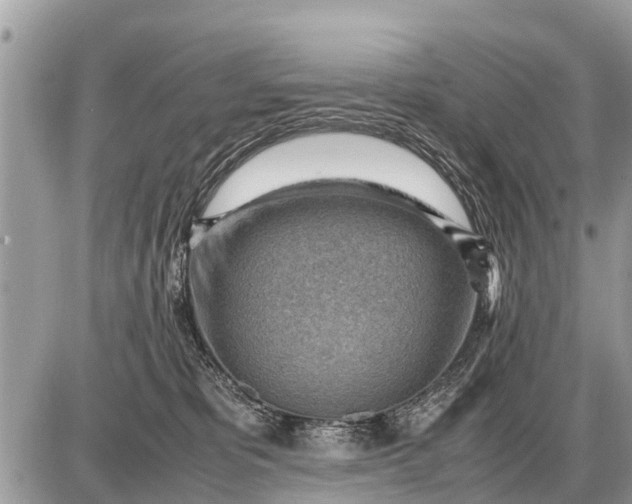 X0000087400325200705042042