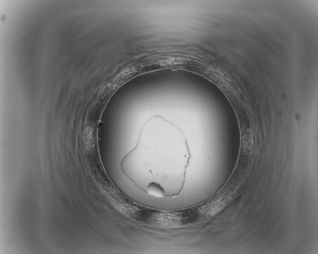 X0000087400327200705042042