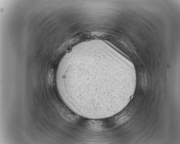 X0000087400328200705042042