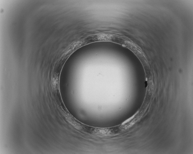 X0000087400329200705042042