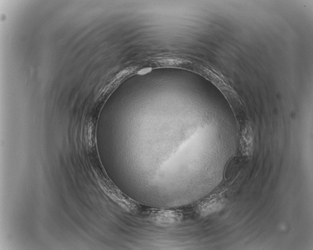 X0000087400330200705042042