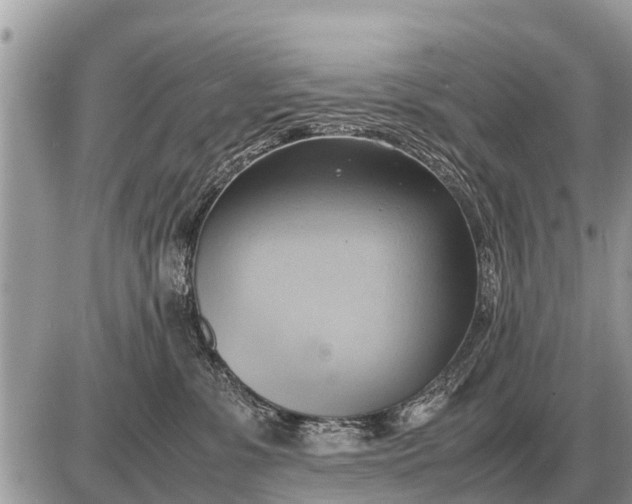 X0000087400331200705042042