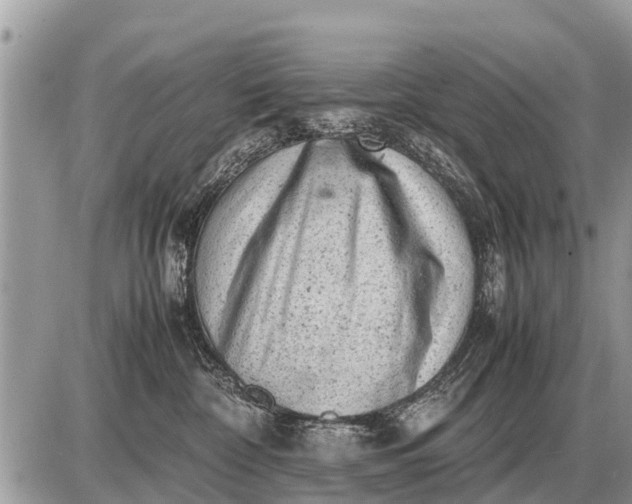 X0000087400332200705042042