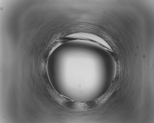 X0000087400333200705042042