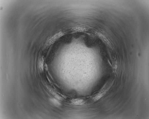 X0000087400334200705042042