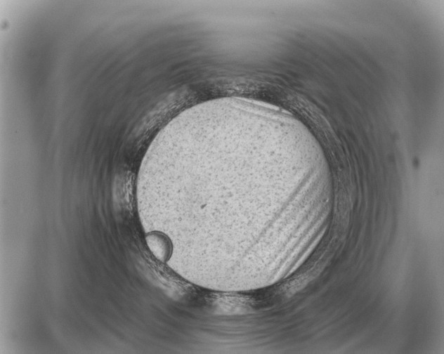 X0000087400336200705042041