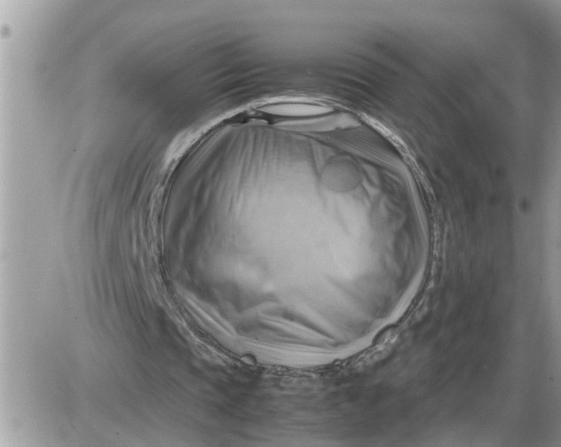 X0000087400337200705042041