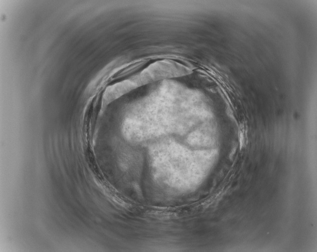 X0000087400339200705042041