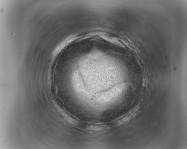 X0000087400341200705042041