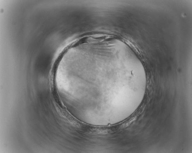 X0000087400343200705042041