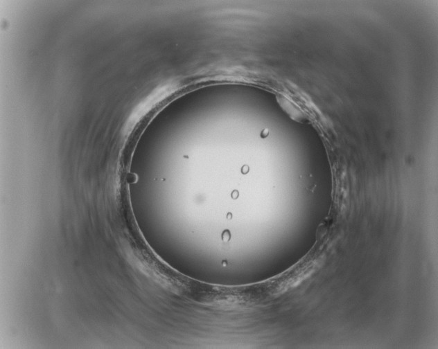 X0000087400344200705042041