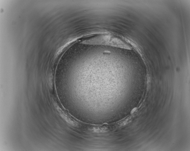 X0000087400345200705042041