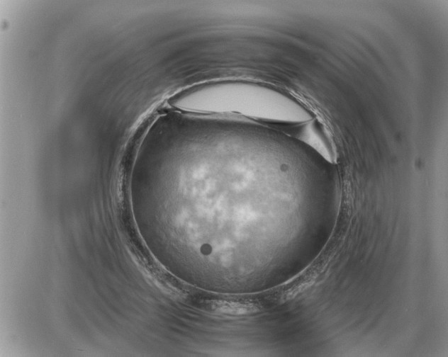 X0000087400347200705042041