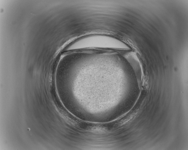 X0000087400348200705042041