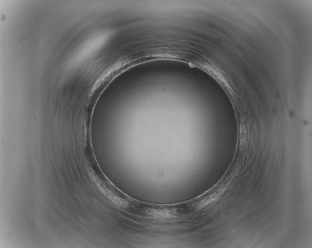 X0000087400349200705042041