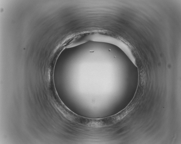 X0000087400350200705042041