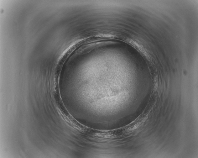 X0000087400351200705042041