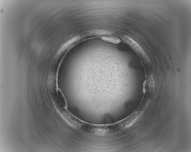 X0000087400352200705042041