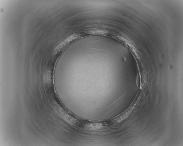 X0000087400353200705042041