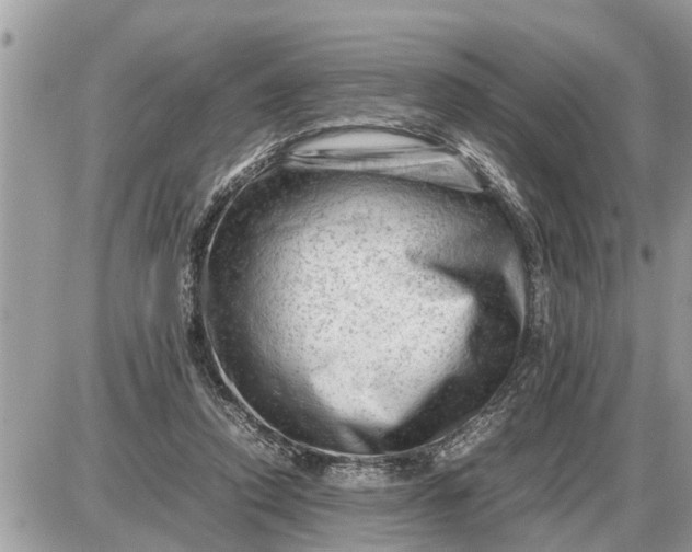 X0000087400354200705042041