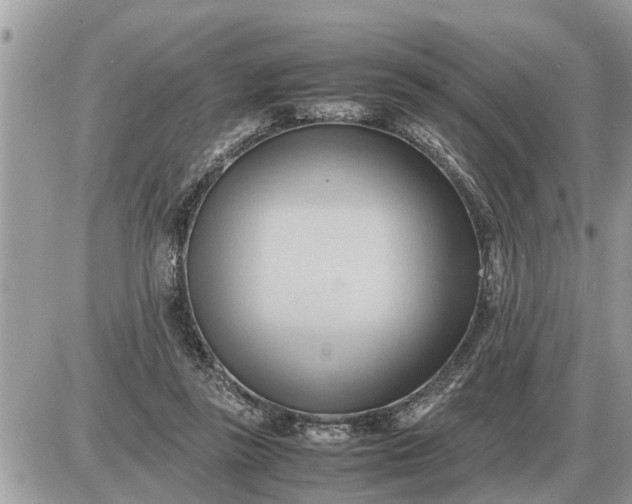 X0000087400355200705042041