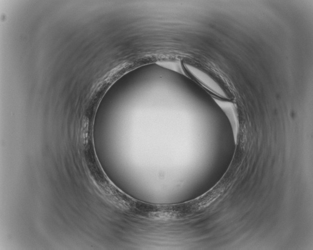 X0000087400356200705042041